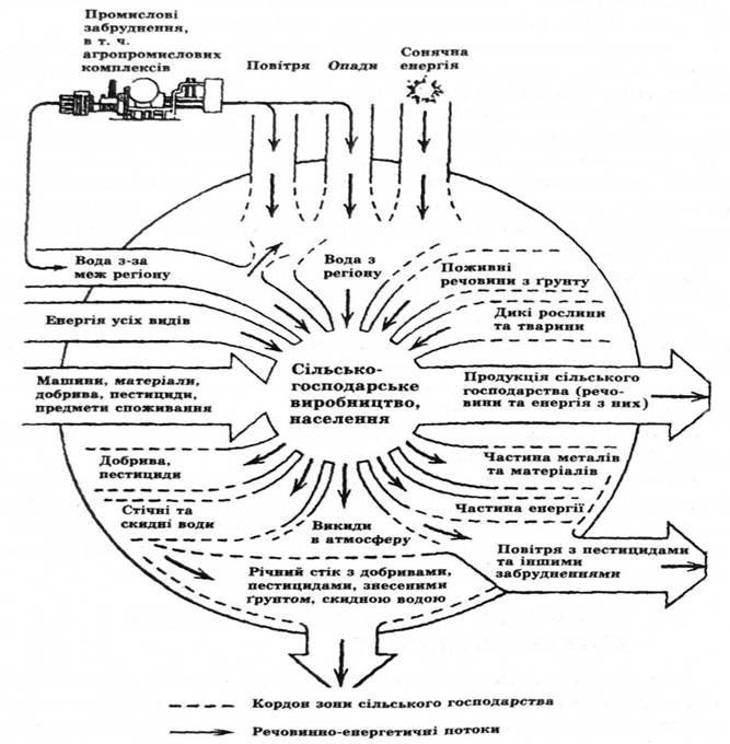Схема основних речовинно-енергетичних потоків у зоні сільськогосподарського виробництва