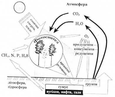 Схема біохімічного кругообігу речовин в осадковій фазі
