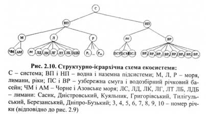 Структруно-ієрархічна схема екосистеми