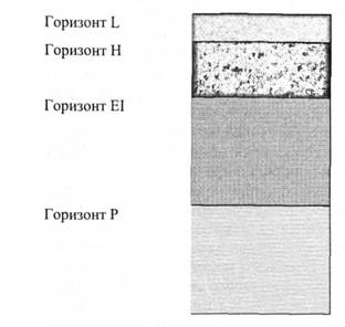 Структура ґрунтового профілю