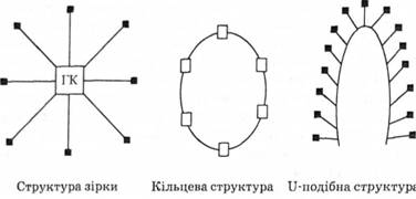 Поділ ЛІС за структурою мережі