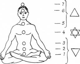 Сім чакр-центрів свідомості людини і місця їх проекцій на його тіло.
