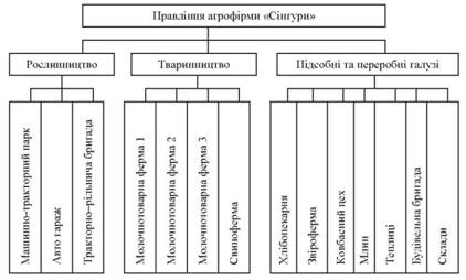 Організаційна структура агрофірми 