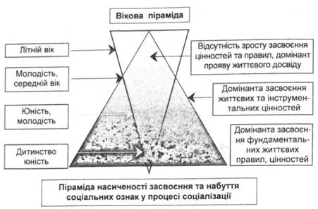 Піраміда насиченості засвоєння та набуття соціальних ознак у процесі соціалізації 