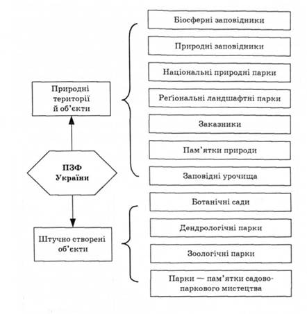 Структура типів територій і об'єктів, включених у природно-заповідний фонд (ПЗФ) України