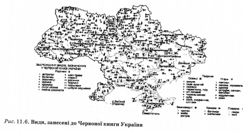 Види, занесені до Червоної книги України 