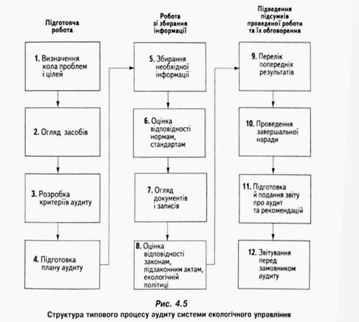 Структура типового процесу аудиту системи екологічного управління 