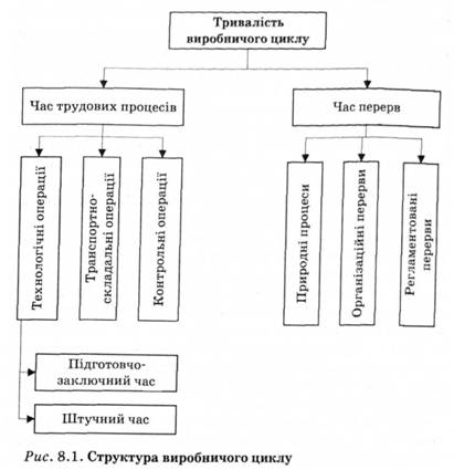 Структура виробничиго циклу 