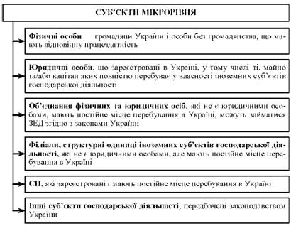 Суб'єкти ЗЕД України мікроекономічного рівня діяльності 