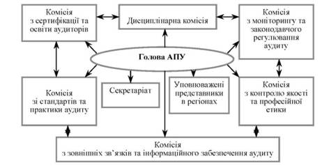 Структура Аудиторської палати України