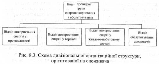 Схема дивізіональної організаційної структури, орієнтованої на споживача 