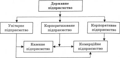 Організаційні форми державного підприємництва в Україні