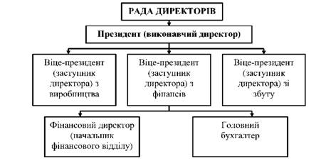 Організаційна структура фінансової служби великого підприємства 