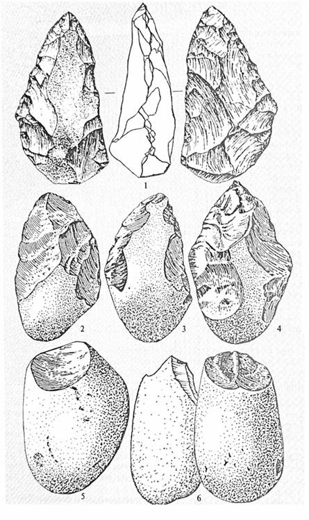 Галькові знаряддя Homo habilis (5,6) і рубила пітекантропів 