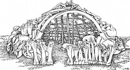 Житло з кісток мамонта зі стоянки Межиріч у Пороссі