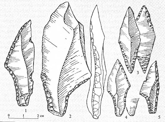 Крем'яні наконечники стріл культур фінального палеоліту Полісся