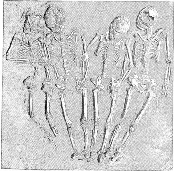 Поховання маріупольського типу поблизу Олександрії на р. Оскол
