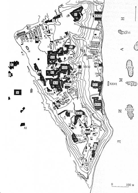 План Ольвії з позначенням розкопаних ділянок 