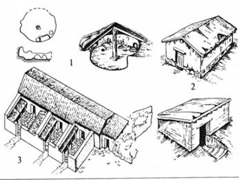 Типи ранніх житлових споруд античних поселень 