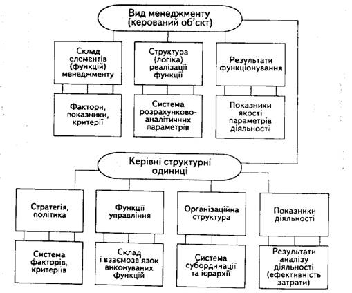 Загальна структура окремого виду функціонального менеджменту