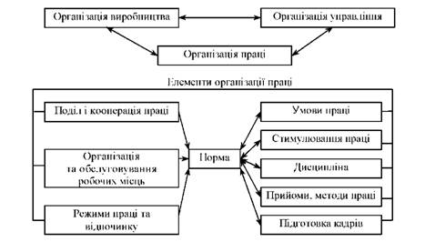 Взаємозв'язок нормування та організації праці