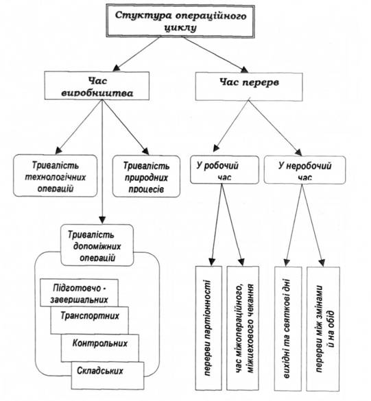 Структура операційного циклу 