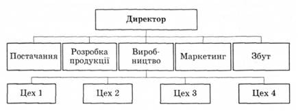 Функціональний тип організаційної системи управлін¬ня виробництвом