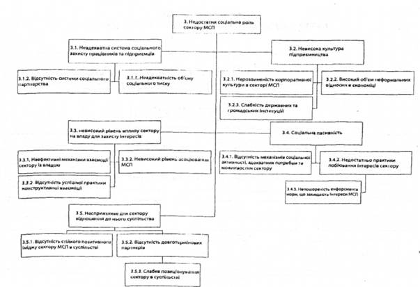 Дерево проблем соціальної ролі МСП