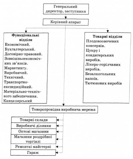 Організаційна структура управління фірмою