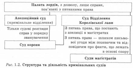 Структура та діяльність кримінальних судів