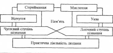 Структура когнітивної сфери особистості (за М. В. Гамезо та І. А. Домашенко)