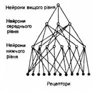 Схема рецептивних патів нейронів різних рівнів