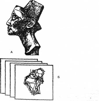 Запис рухів ока (Б) при розгляданні фотографії скульптурного портрета єгипетської цариці Нефертіті (А)
