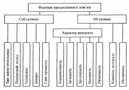 Фактори продуктивності пам'яті