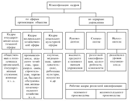 Классификация кадров по сферам организации общества и иерархии управления