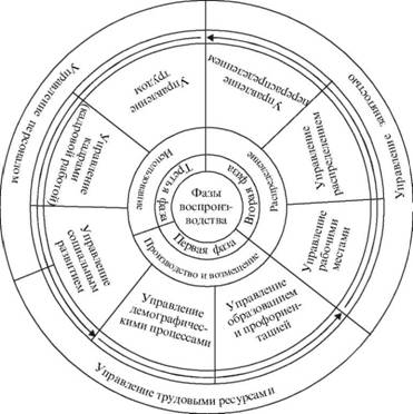 Цикл кадрового воспроизводства и менеджмента человеческих ресурсов